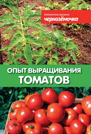 Опыт выращивания томатов (2011)