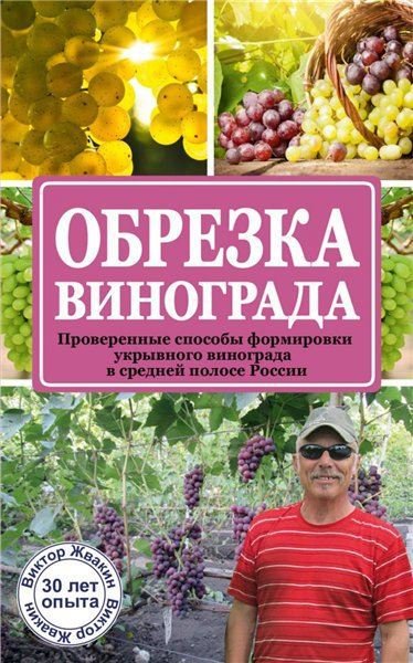 Виктор Жвакин. Обрезка винограда (2015)