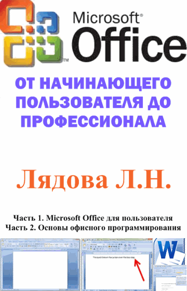Microsoft Office: от начинающего пользователя до профессионала (2007