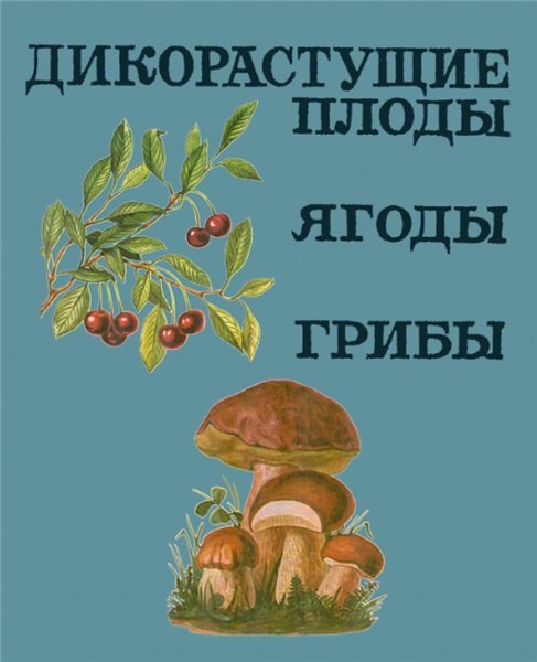 В.Н. Колдаев. Дикорастущие плоды, ягоды, грибы (1969) DjVu