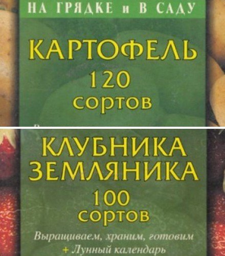 Т.Е. Лущиц. Серия. На грядке и в саду. 2 книги (2001) DjVu