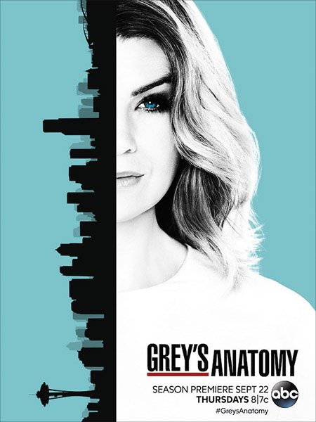 Анатомия Грей / Анатомия страсти (13 сезон) / Greys Anatomy
