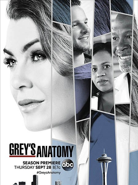 Анатомия Грей / Анатомия страсти (14 сезон) / Greys Anatomy