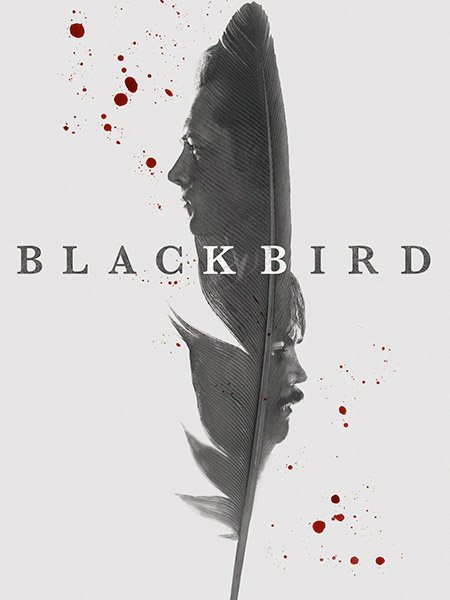 Чёрная птица (1 сезон) / Black Bird