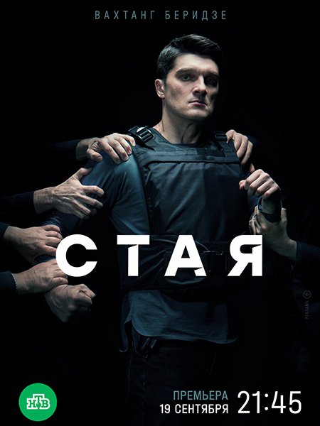 Стая