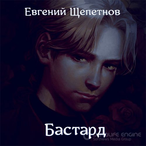 Щепетнов Евгений. Бастард (Аудиокнига)