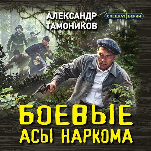 Тамоников Александр. Боевые асы наркома (Аудиокнига)