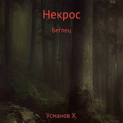 Усманов Хайдарали. Некрос. Беглец (Аудиокнига)